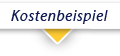 Kostenbeispiel